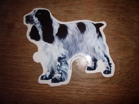 Hondenras sticker English Cocker Spaniel shaped 14 x 14 cm, Ophalen of Verzenden, Zo goed als nieuw, Bedrijf of Vereniging