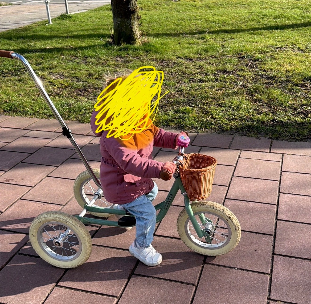 Kinderloopfiets/driewieler met duwstang en mandje, Ophalen, Gebruikt, Velgrem, Duwstang