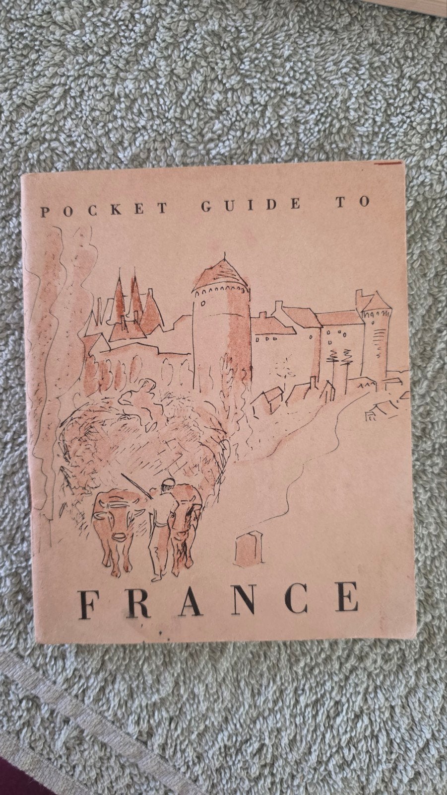 Pocket guide te France., Ophalen of Verzenden, Landmacht, Amerika