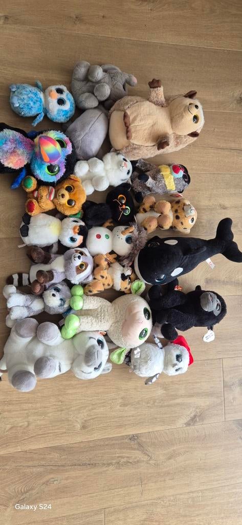 Grote verzameling TY  knuffels, Ophalen