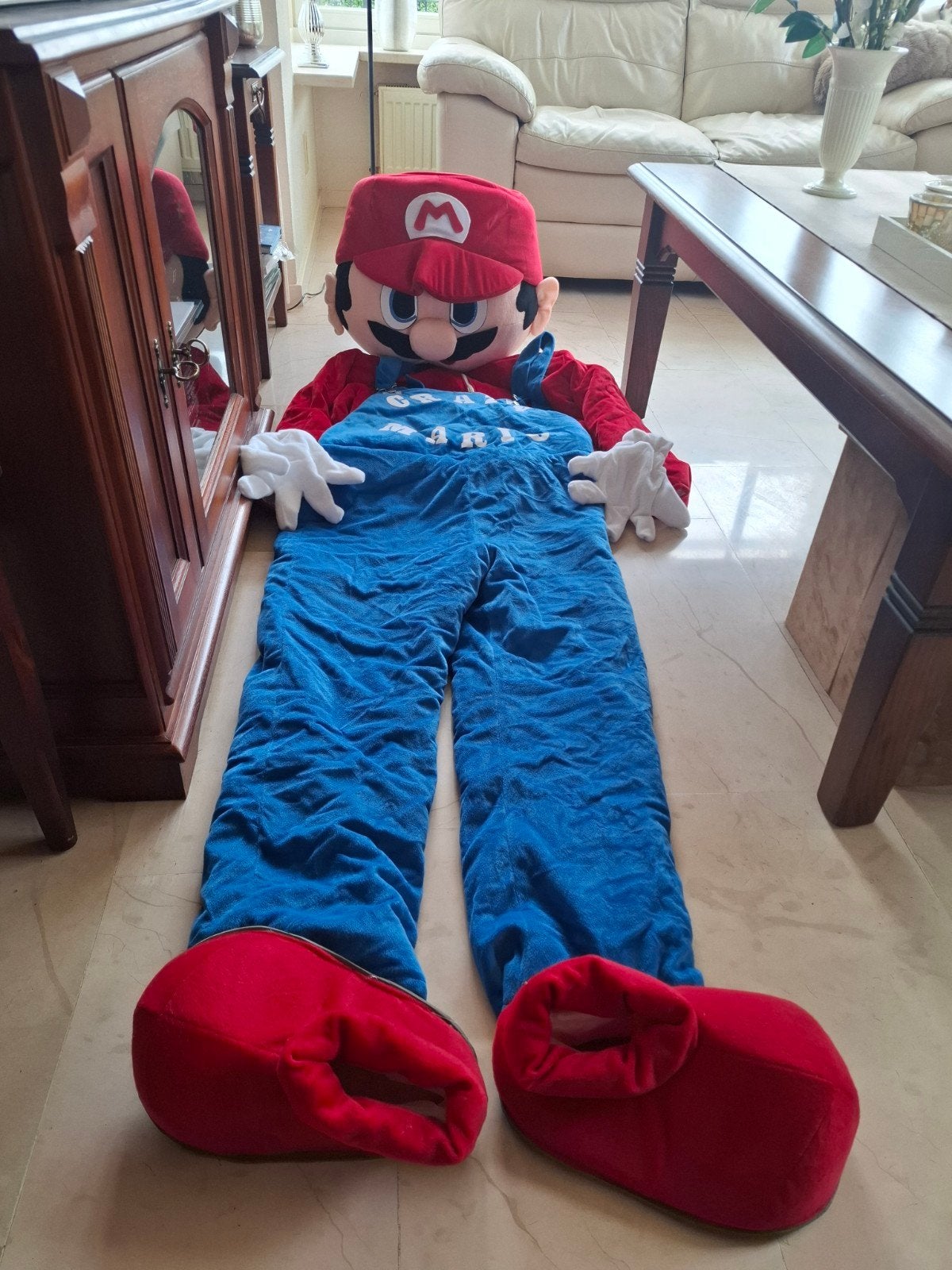 Super Mario mascottepak, Ophalen, Zo goed als nieuw, Jongen of Meisje