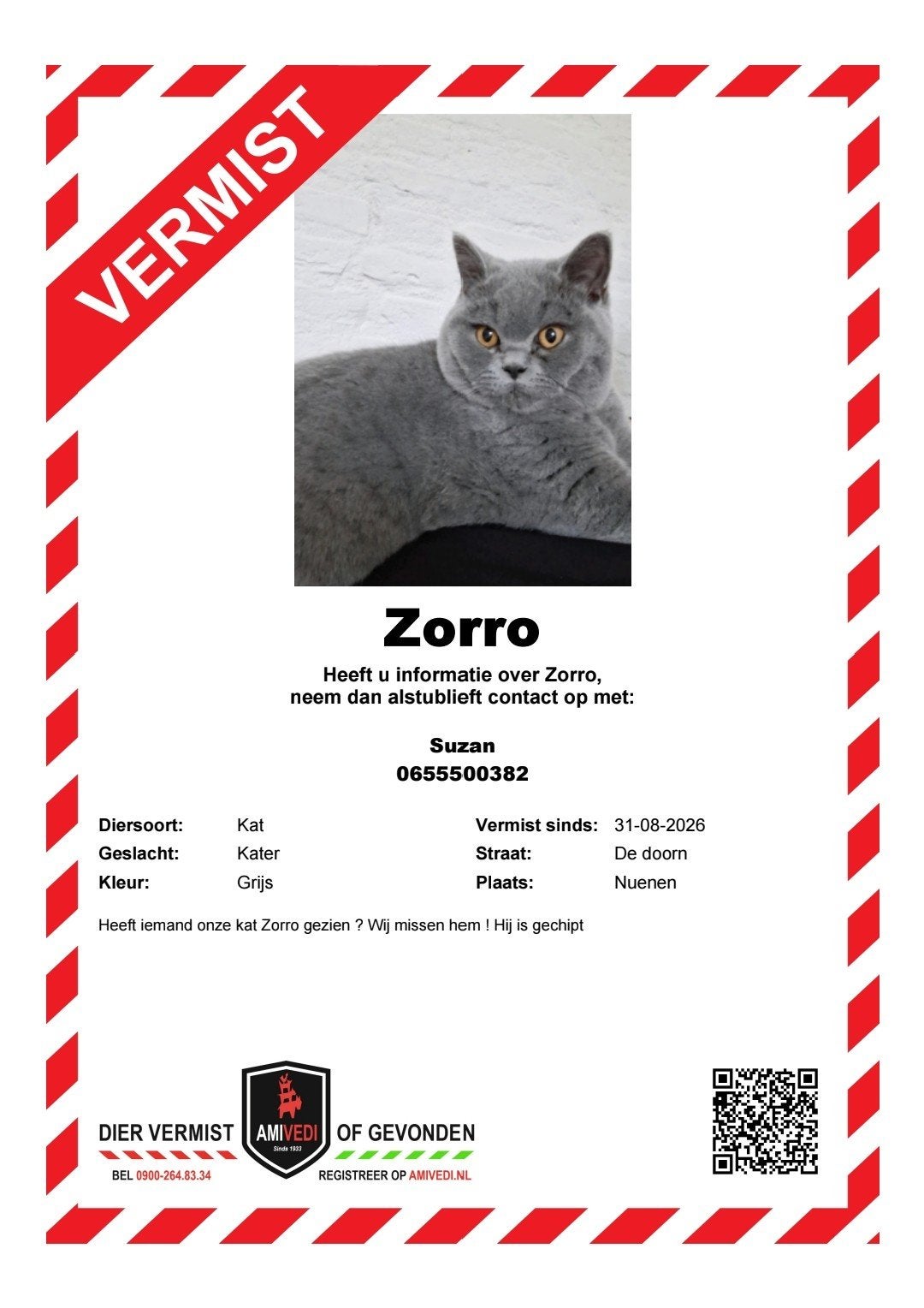 vermiste britse korthaar kater, Dieren en Toebehoren, Kat