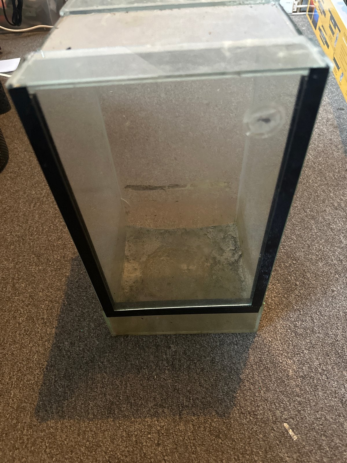 Terrarium voor insecten, Dieren en Toebehoren, Ophalen of Verzenden, Gebruikt, Terrarium of Paludarium