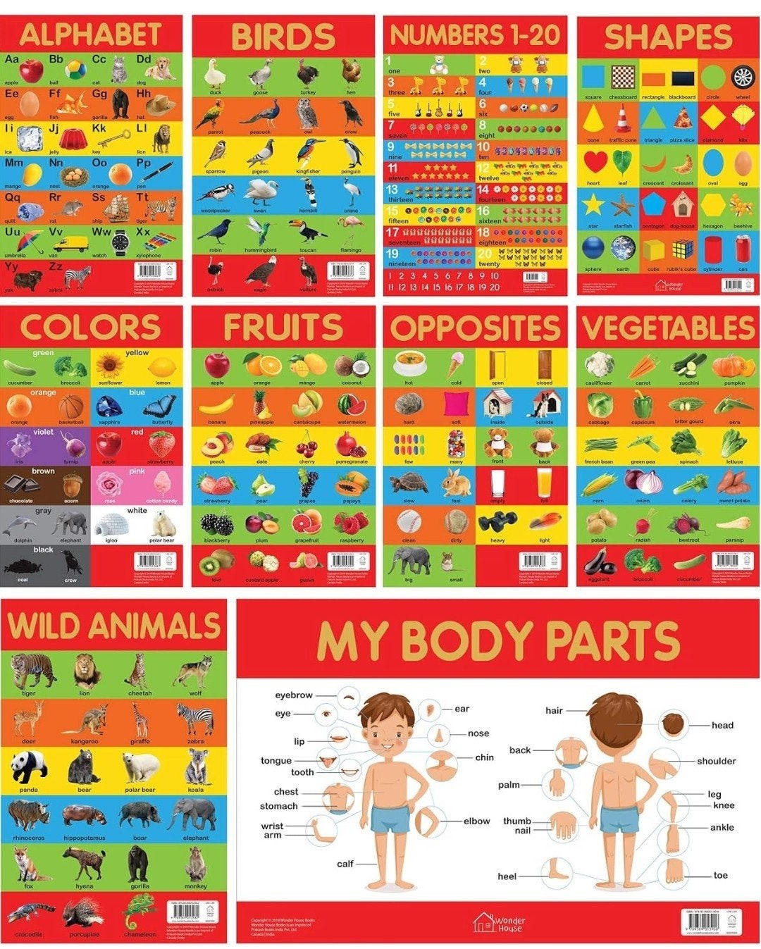 Educatieve Posters voor Kinderen - Alfabet, Cijfers, Dieren, Ophalen, Nieuw, Taal en Lezen