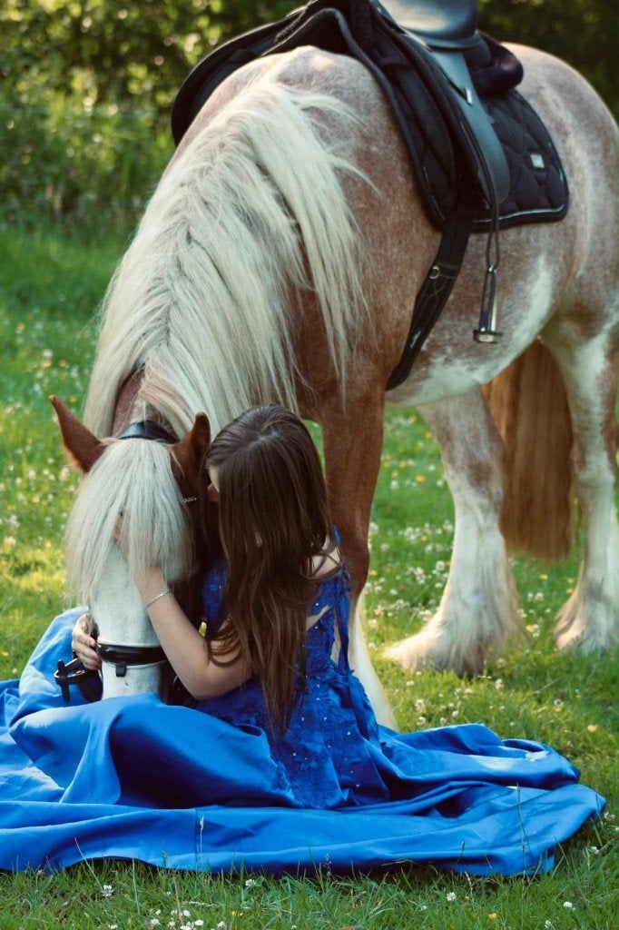 💕Schitterende super lieve 4,5 jarige Roan tinker merrie💕, Merrie, Met stamboom, Zadelmak, 3 tot 6 jaar