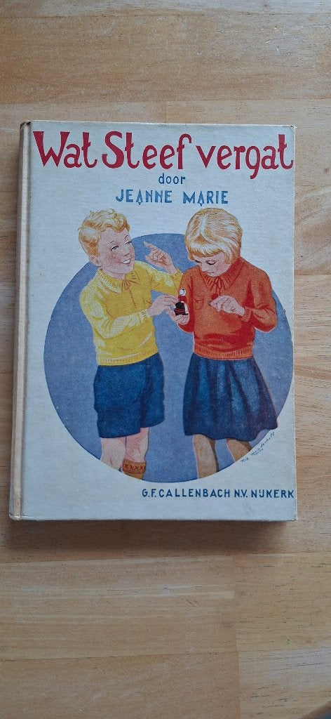 Wat Steef vergat (Jeanne Marie), Gelezen, Fictie algemeen, Jeanne Marie, Ophalen of Verzenden