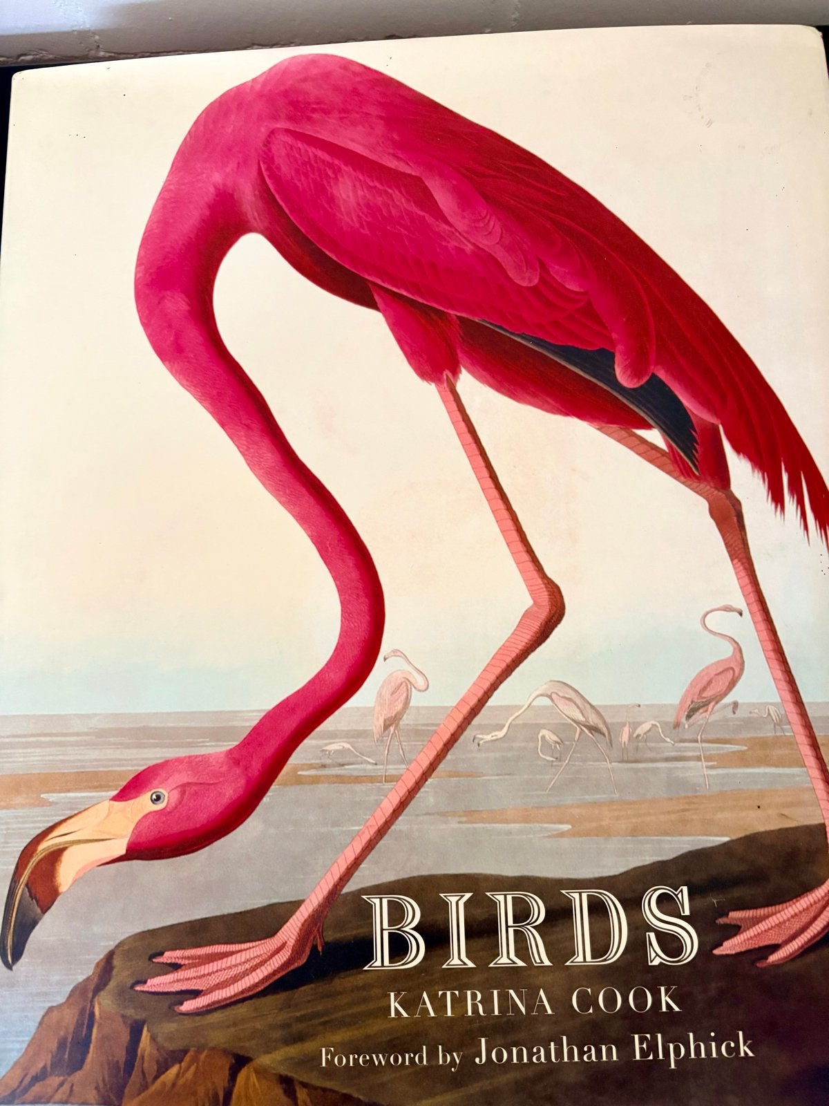 Birds - Katrina Cook - Prachtig geïllustreerd vogelboek, Boeken, Ophalen, Zo goed als nieuw, Vogels