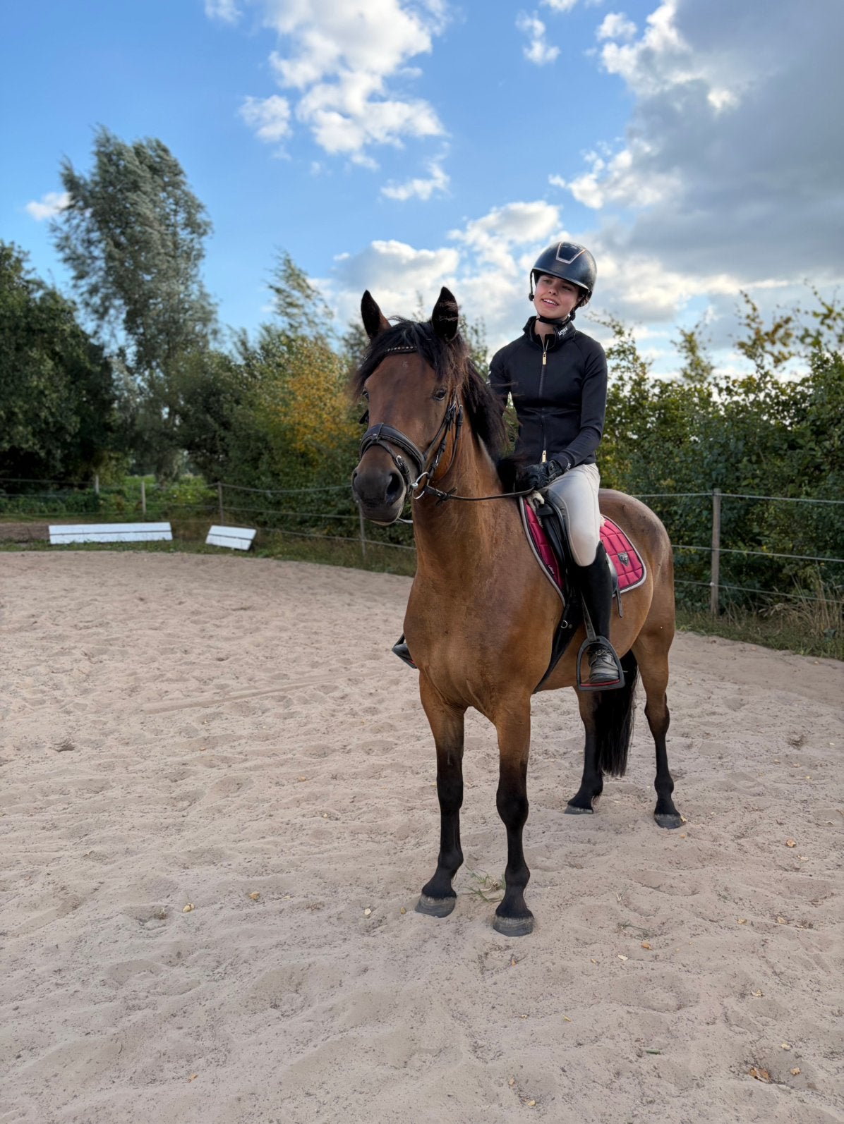 Vijfjarige pony - lief en klaar voor een nieuw avontuur!, Ruin, 3 tot 6 jaar, Recreatiepony, D pony (1.37m tot 1.48m)