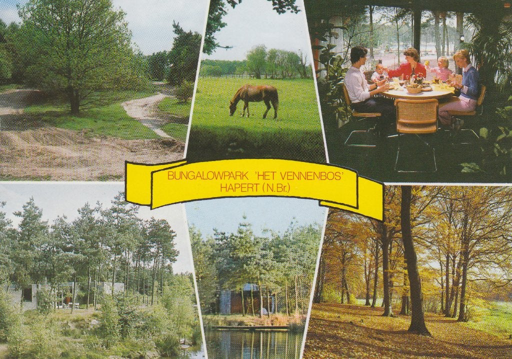 P206 ansichtkaart vennebos hapert centerparcs n brabant, Ophalen of Verzenden, 1980 tot heden, Gelopen, Noord-Brabant
