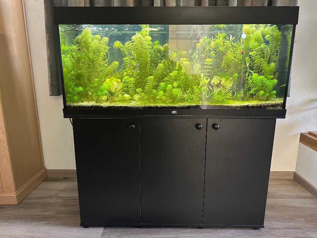 Juwel Rio 240 Aquarium met onderkast zwart, Ophalen, Gebruikt, Inclusief vissen, Leeg aquarium
