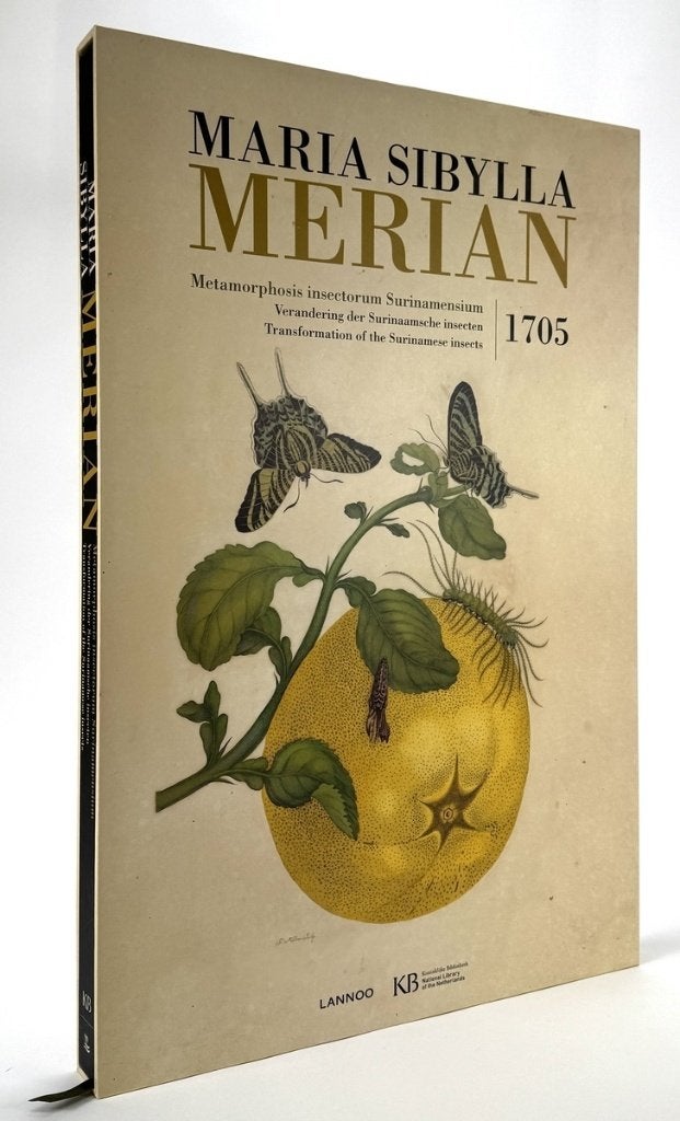 383. Merian - Metamorphosis insectorum Surinamensium, 1975