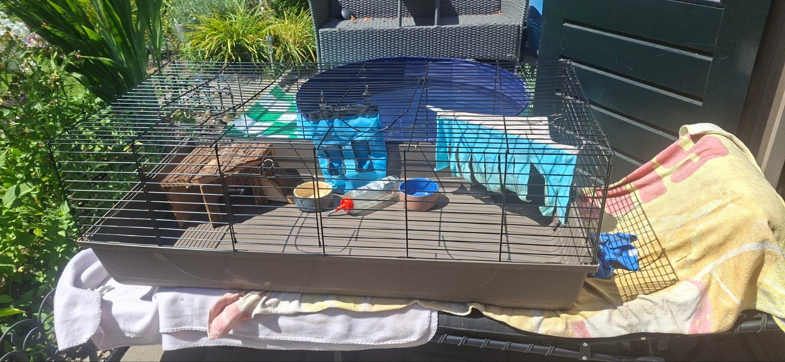 Cavia/konijnen kooi, Dieren en Toebehoren, Knaagdieren en Konijnen | Hokken en Kooien, Kooi, 110 cm of meer, Zo goed als nieuw