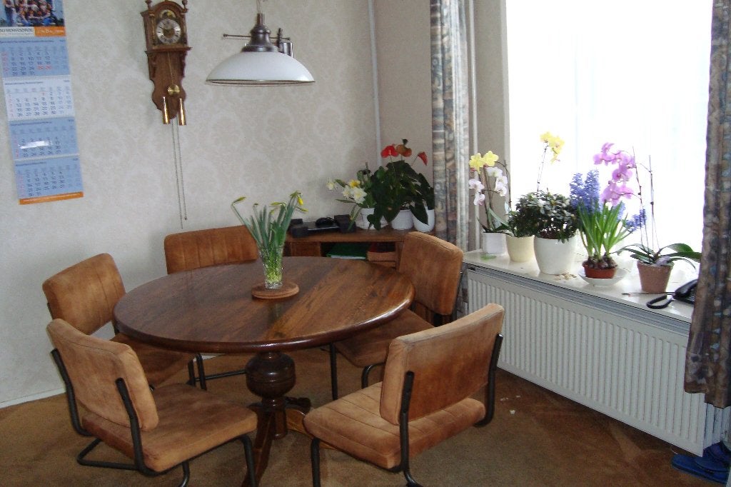 kamer te huur voorvrouw, 20 tot 35 m², Haarlem