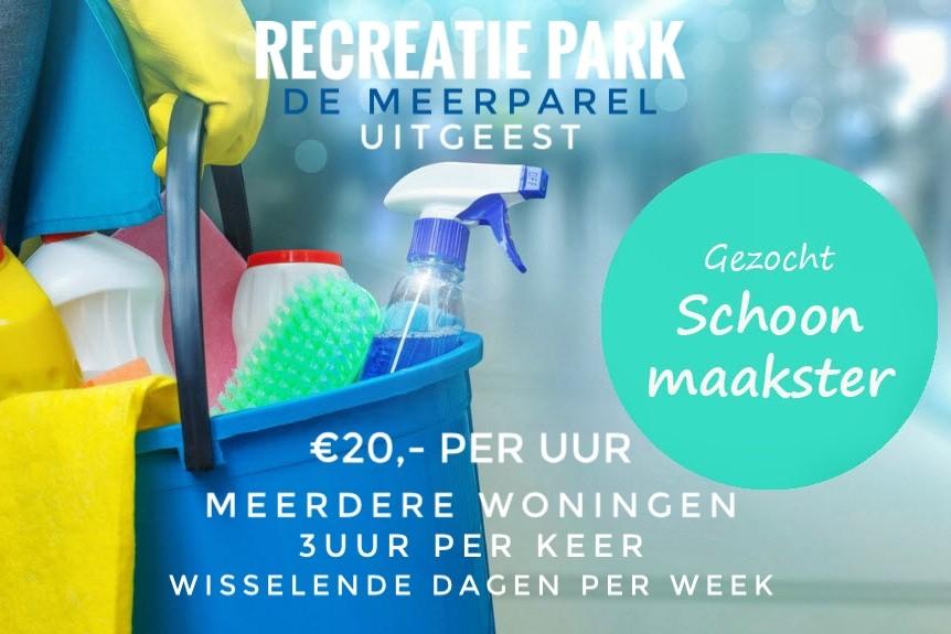 GEZOCHT SCHOONMAAKSTER UITGEEST, Diensten en Vakmensen, Schoonmaken woning