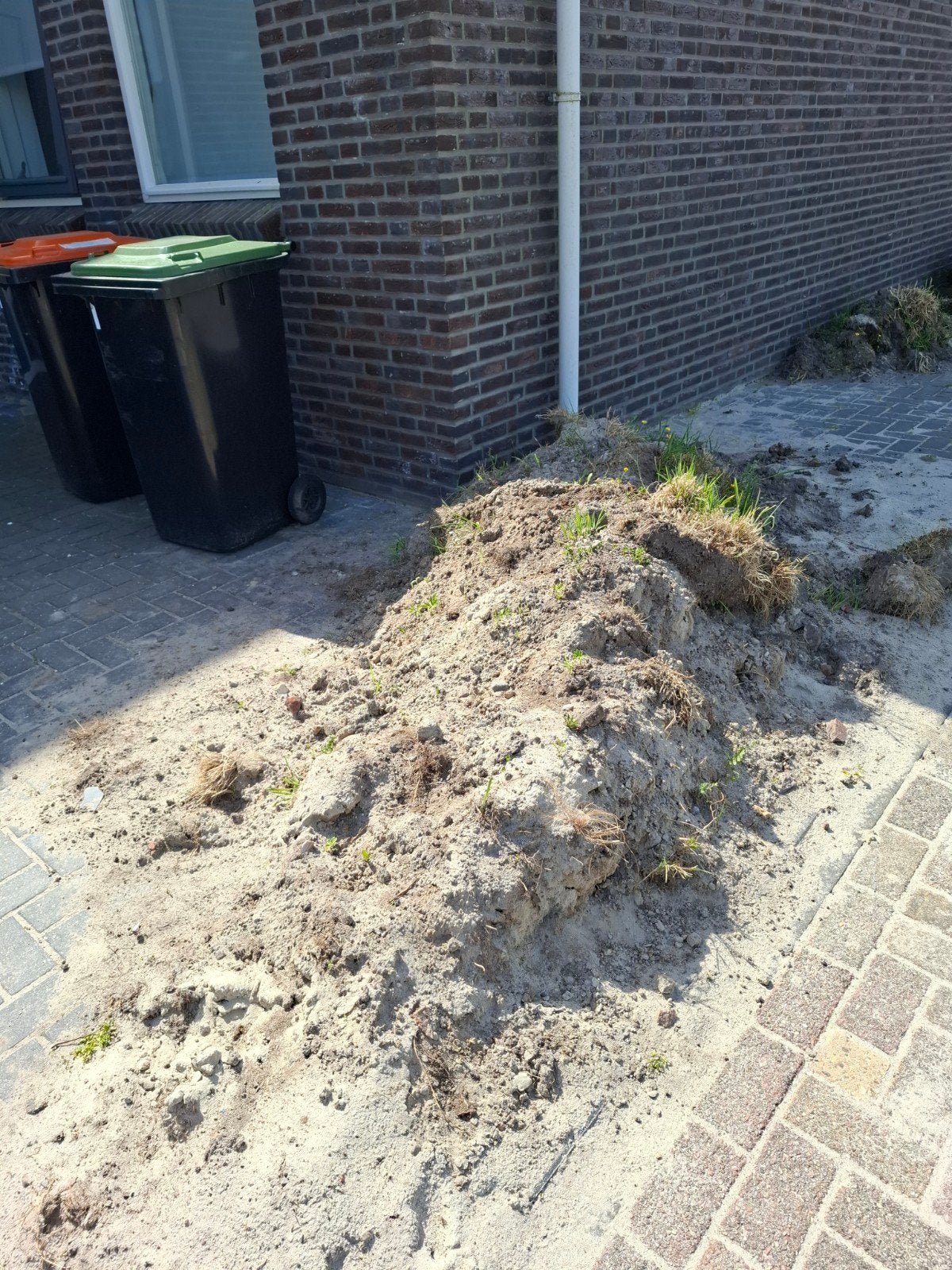 Grond met gras en onkruid, Verzenden, Gebruikt, Overige typen