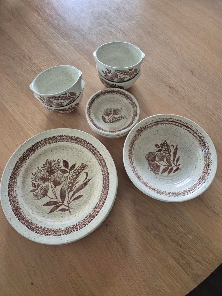Vintage Midwinter Cottonfield Servies (16 delig), Ophalen