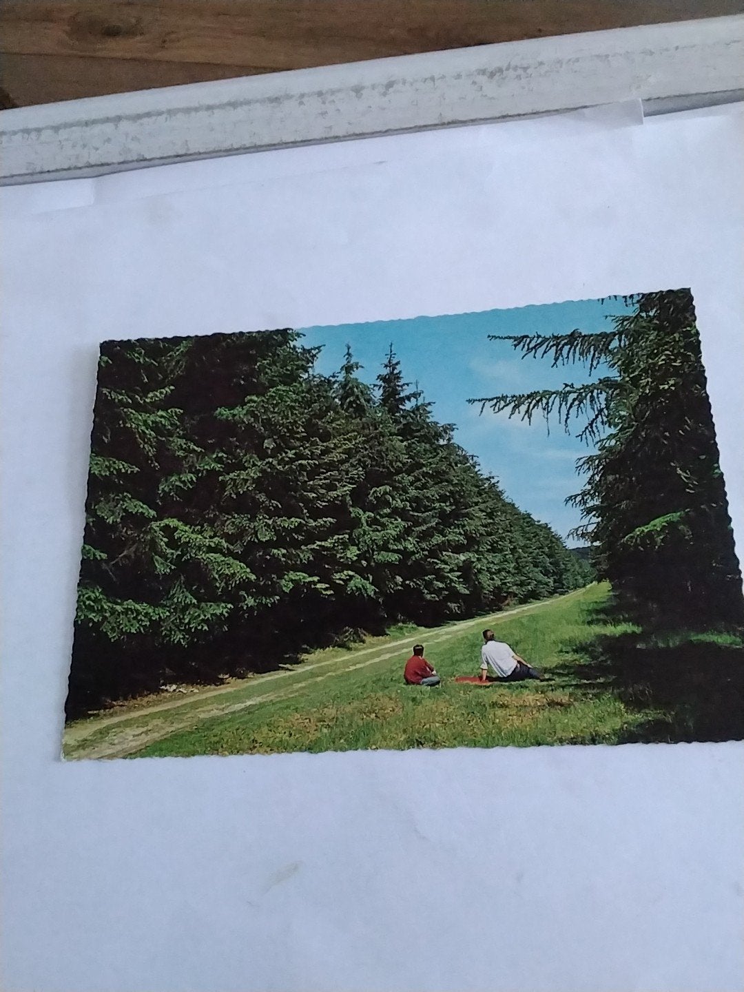 Ansichtkaart Groeten uit Amerongen - Utrechtse Heuvelrug, Verzamelen, Ansichtkaarten | Nederland, Ophalen of Verzenden, 1940 tot 1960