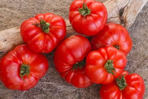 Tomaten zaden dwergplant franklin country, Tuin en Terras, Ophalen of Verzenden