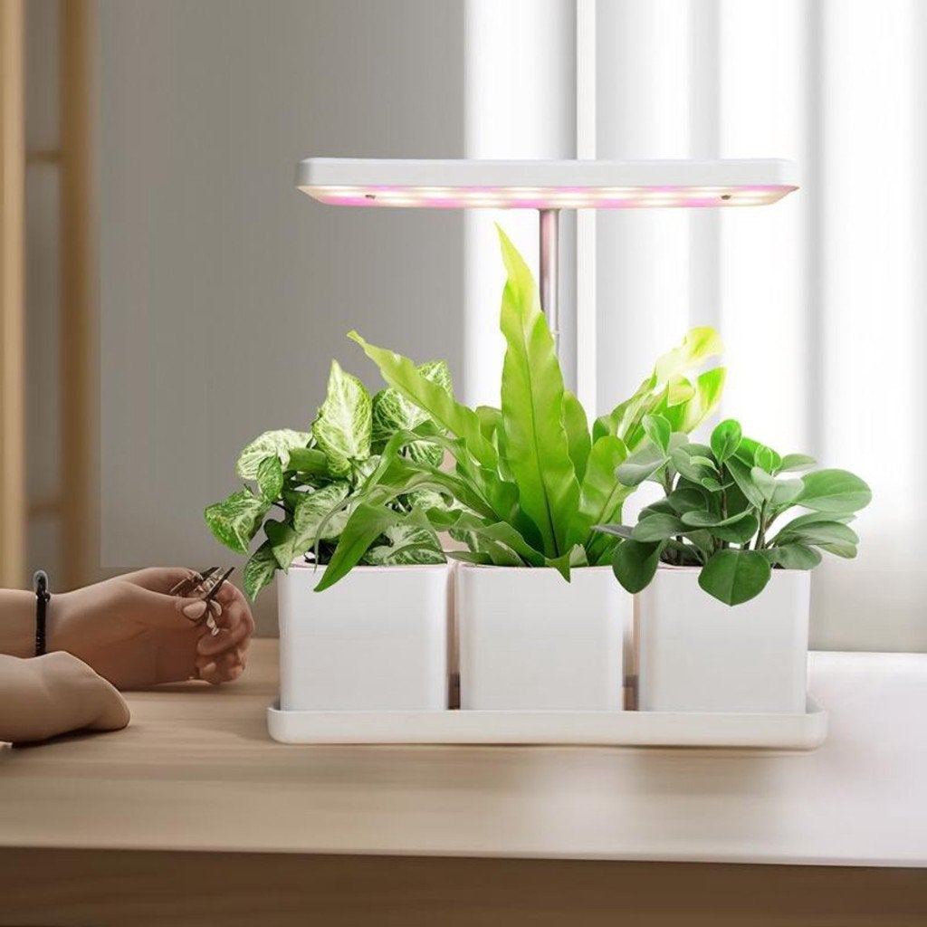 Witte Kweekbak met LED-verlichting - 3 Bakken, GrowLight Solutions, Info@growlightsolutions.nl, Nieuw, Kunststof