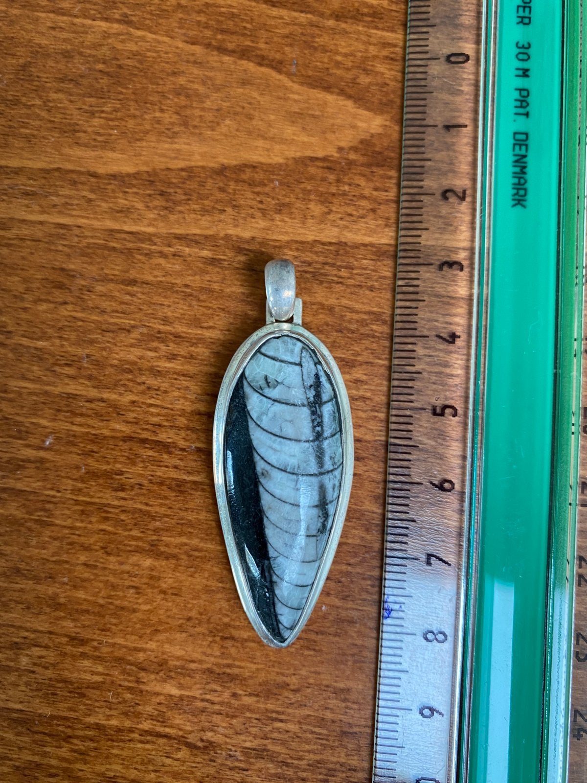 Hanger zilver met fossiel / orthoceras, Ophalen of Verzenden, Zilver