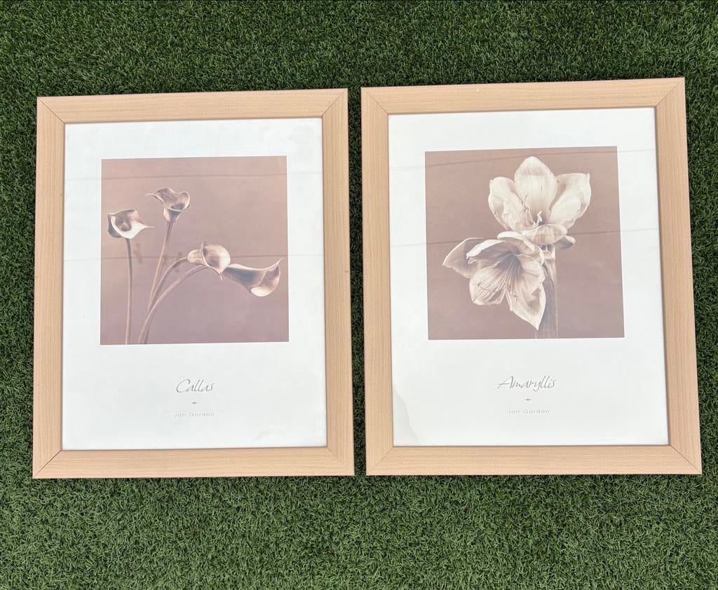Set van 2 ingelijste kunstprints: Calla's en Amaryllis, Ophalen, Gebruikt, Minder dan 50 cm, 50 tot 75 cm