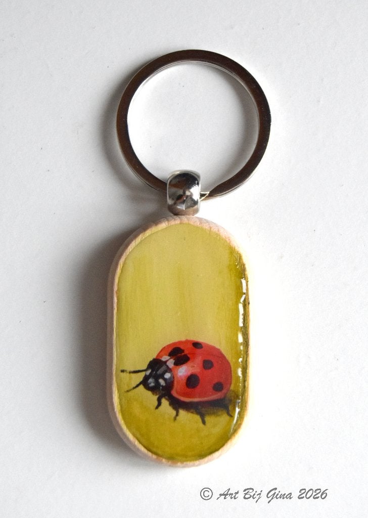 Lieveheersbeestje (4) hand geschilderd op een sleutelhanger, Ophalen of Verzenden, Nieuw, Dier of Natuur