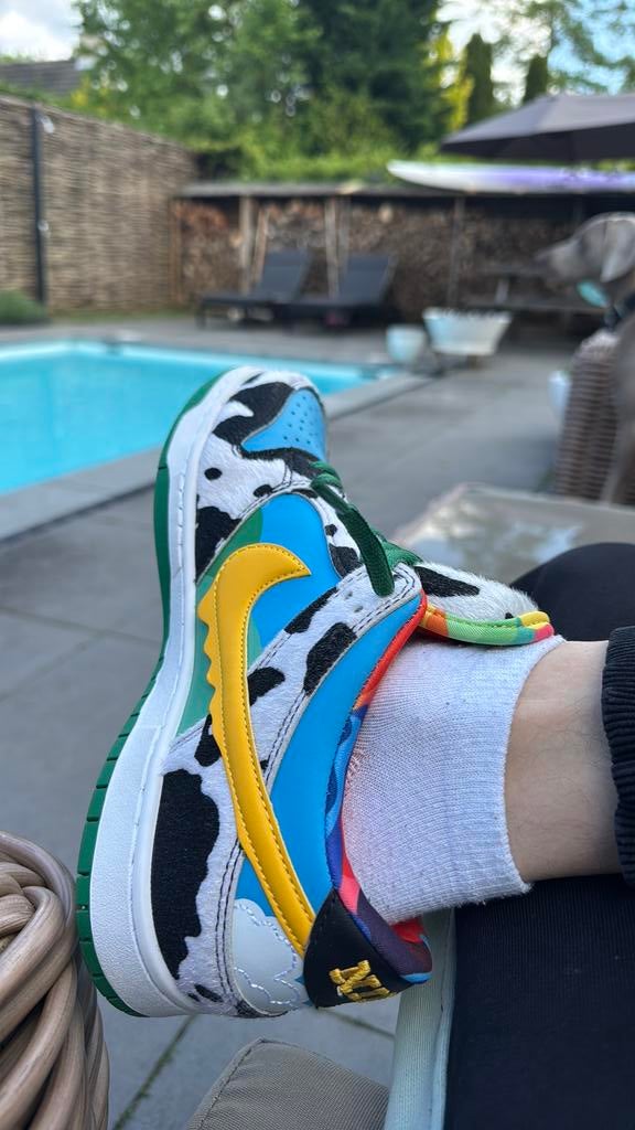 Nike SB dunk low, Ophalen, Overige kleuren, Nieuw, Sneakers of Gympen