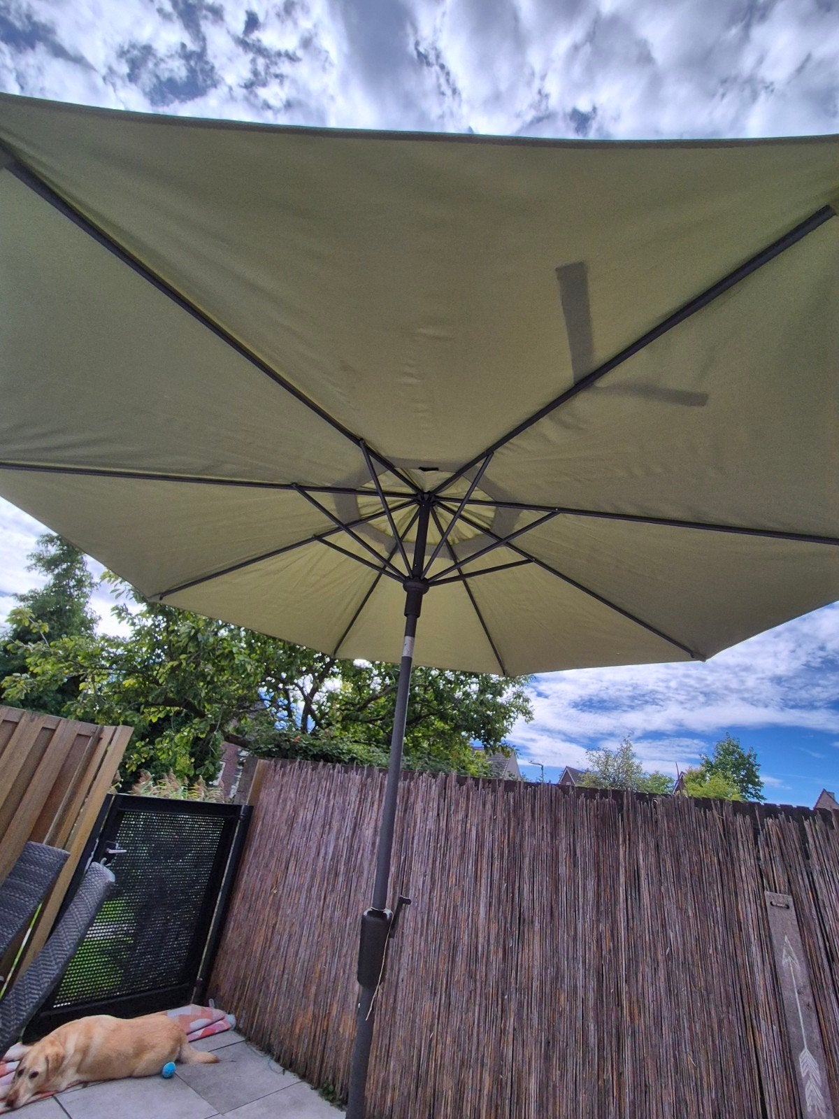 Madison parasol inclusief verrijdbare voet, Ophalen, Gebruikt, 2 tot 3 meter, Stokparasol