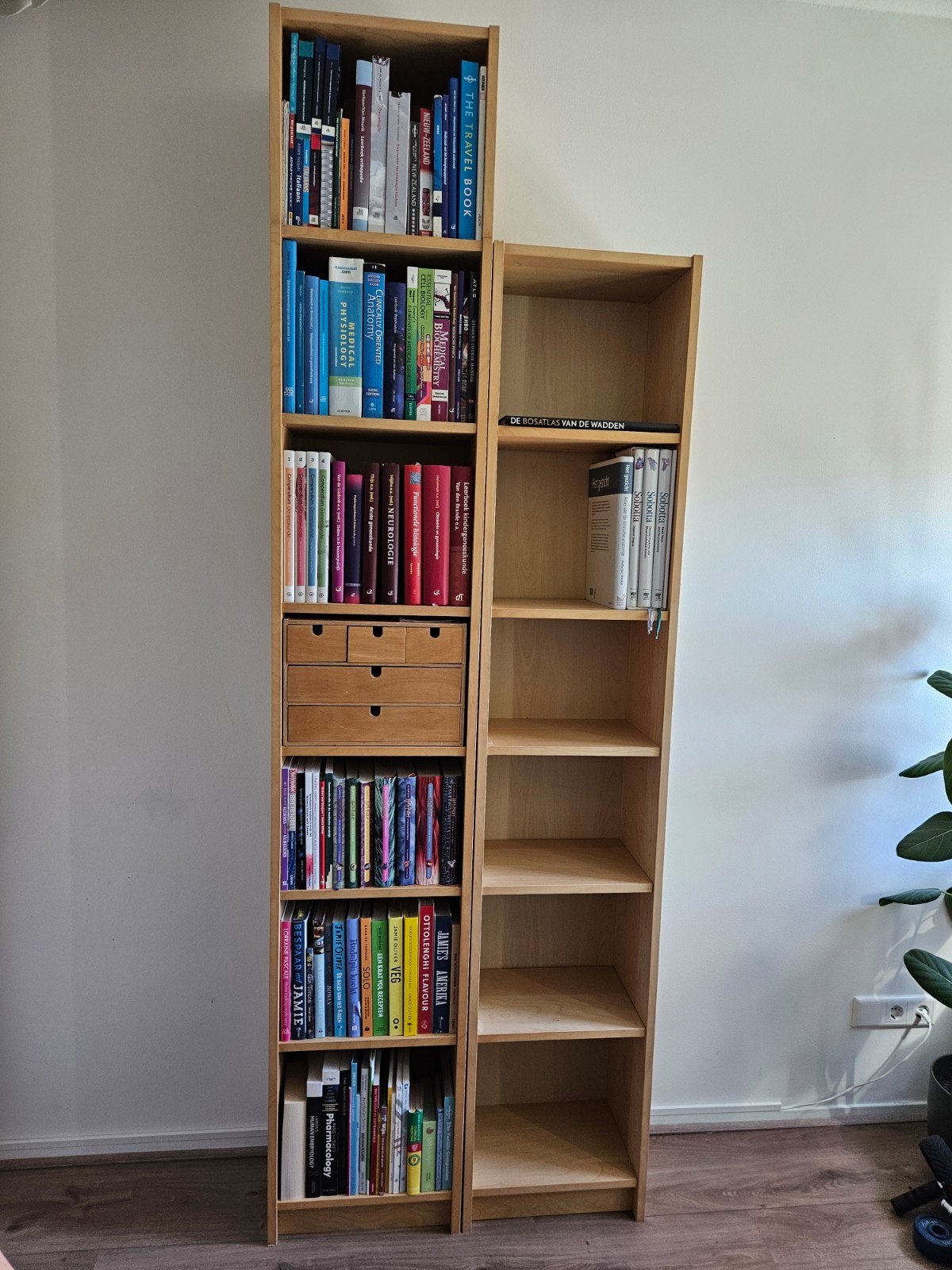 Billy boekenkasten IKEA berken fineer, Ophalen, Gebruikt, 150 discs of meer, Hout