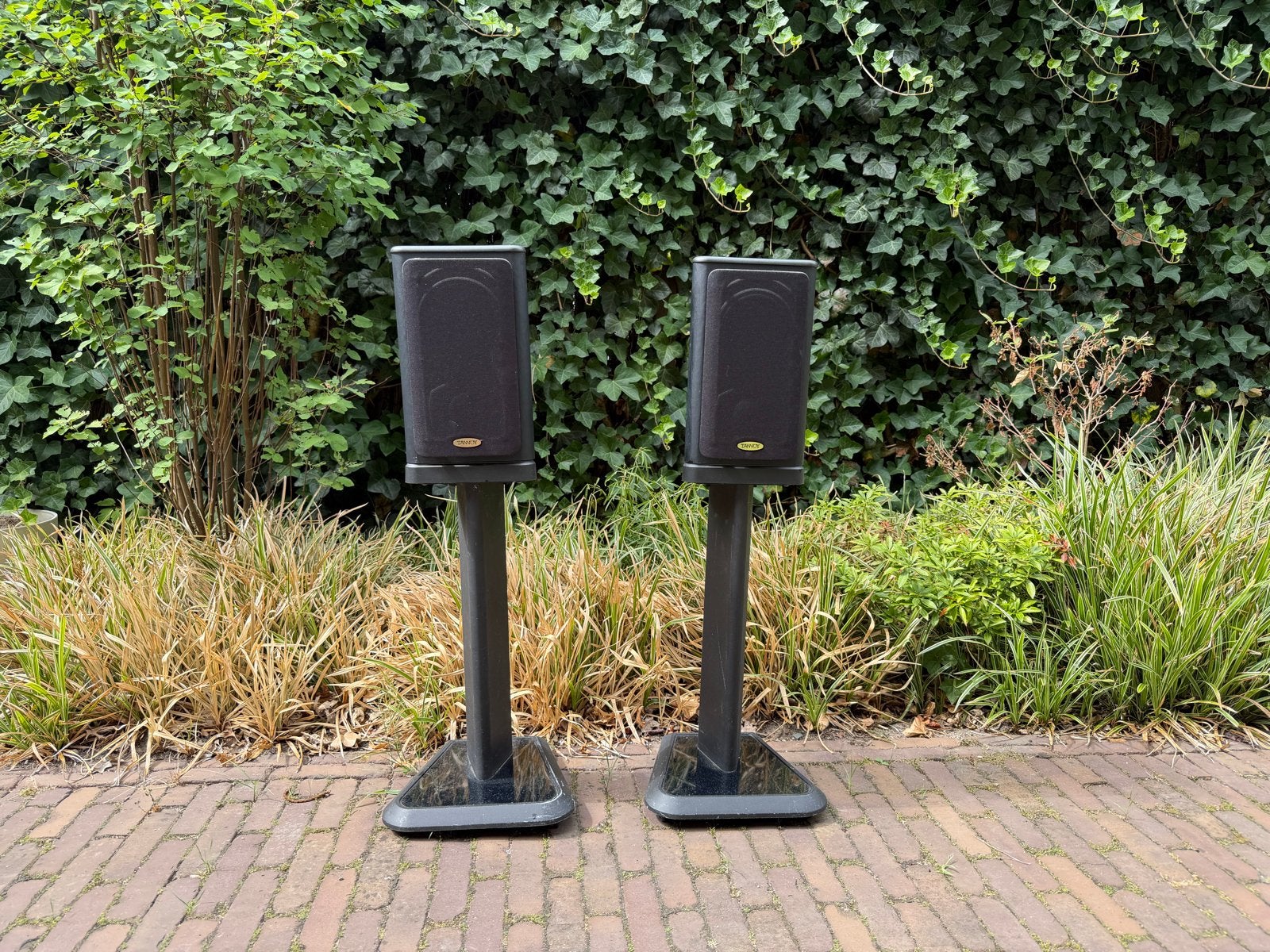 Tannoy 631 Speakers met standaard (2x), Overige merken, Ophalen of Verzenden, Zo goed als nieuw, Geschikt voor surround/home cinema