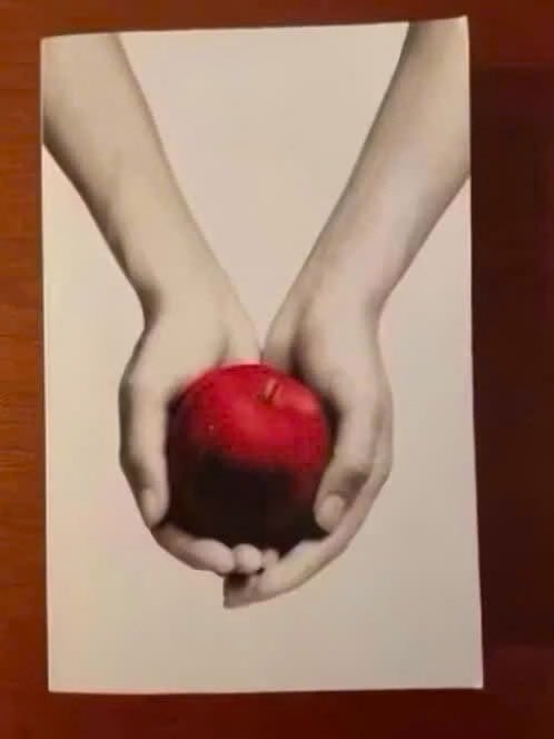 Twilight van Stephanie Meyer, Boeken, Kinderboeken | Jeugd | 13 jaar en ouder, Gelezen, Verzenden