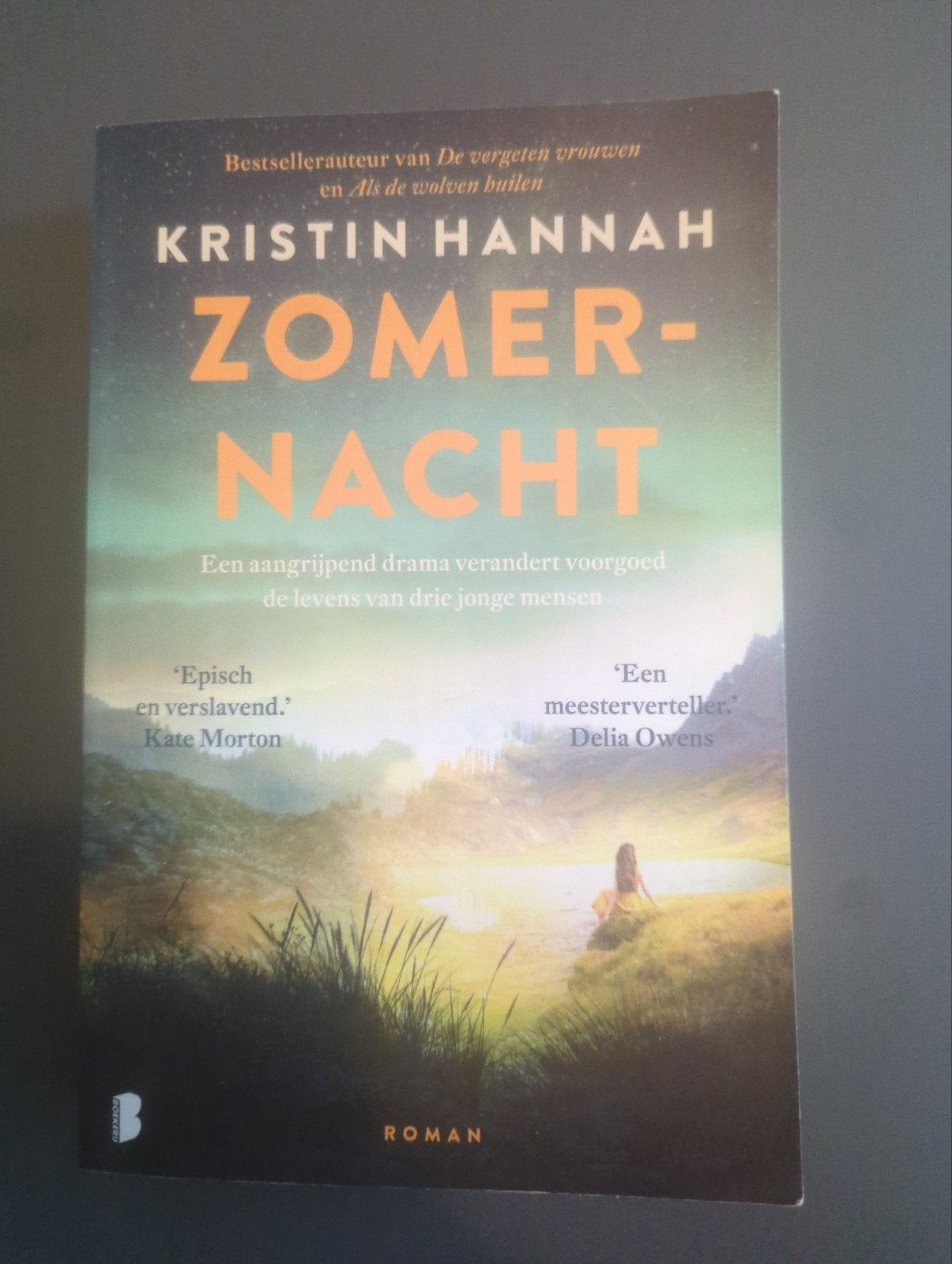 Zomernacht - Kristin Hannah (Roman), Ophalen of Verzenden, Zo goed als nieuw, Kristin Hannah