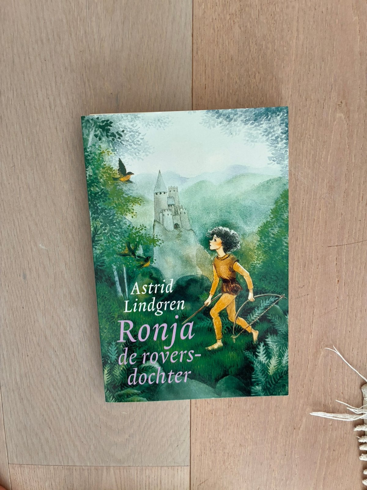 Ronja de roversdochter, Ophalen of Verzenden, Zo goed als nieuw