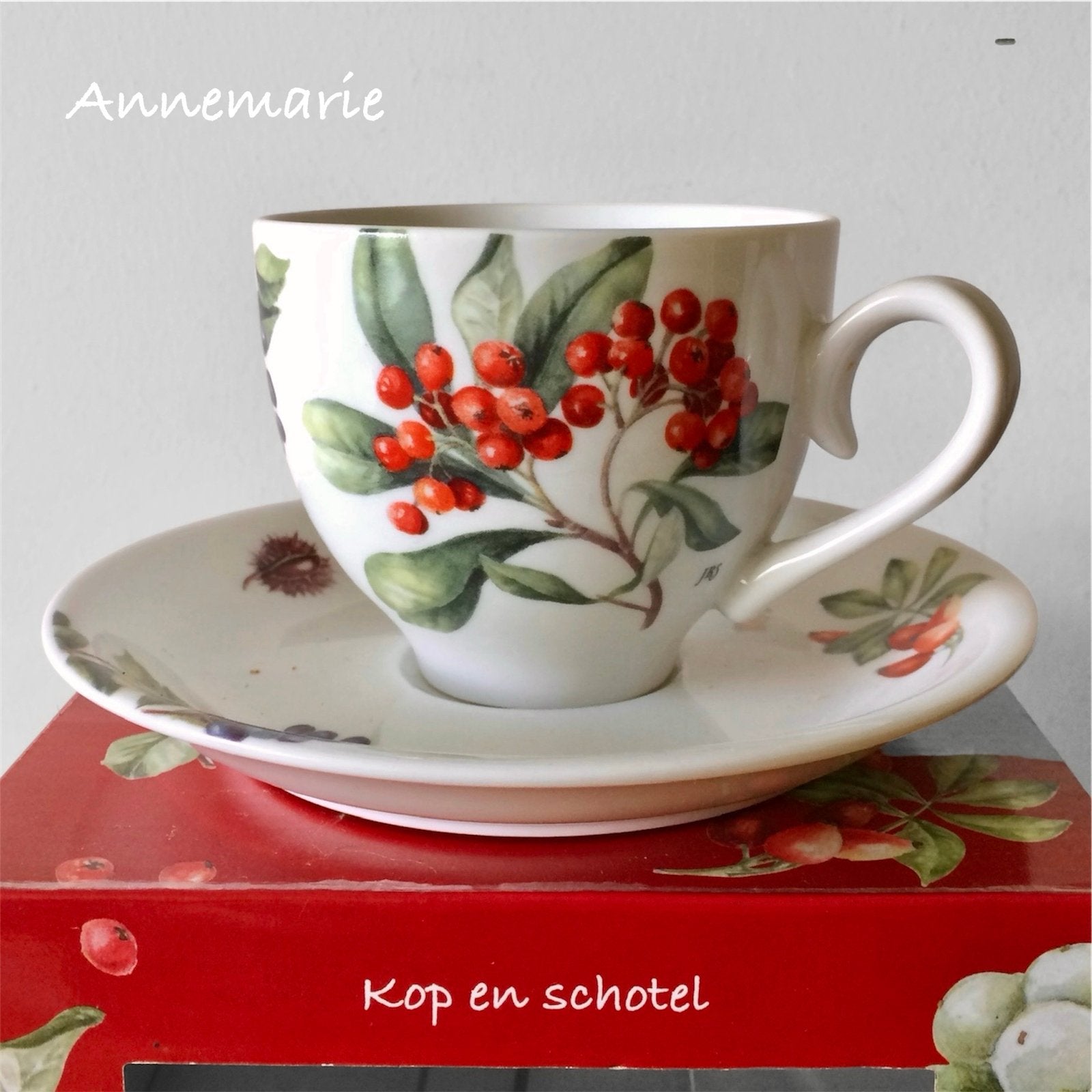 Kerstservies Janneke Brinkman JBS Kerst 2011, Overige merken, Klassiek, Ophalen of Verzenden, Zo goed als nieuw