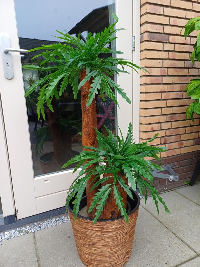 Prachtige kunstplant nieuw, Ophalen of Verzenden, Nieuw, Binnen