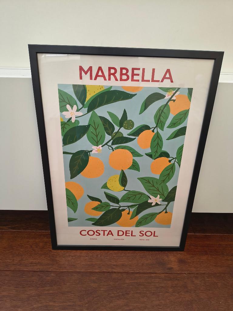 Posters met lijst, Ophalen, Zo goed als nieuw, 50 tot 75 cm, Foto of Poster