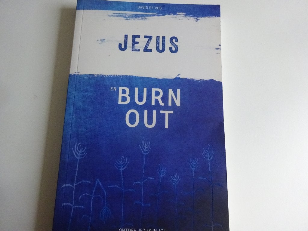 DAVID DE VOS - JEZUS EN BURNOUT, Ophalen of Verzenden, Gelezen, Christendom | Protestants