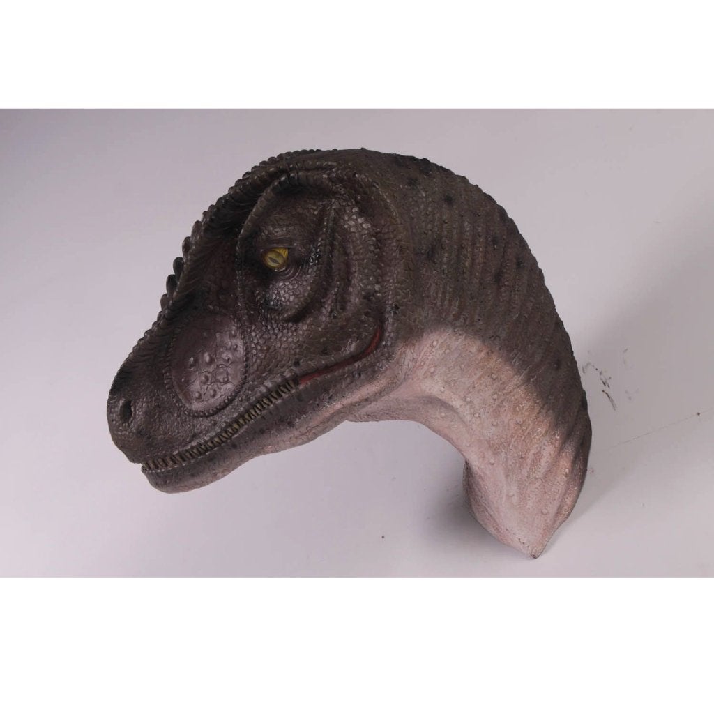 Allo Saurus Hoofd – Dinosaurus beeld Lengte 59 cm, Ophalen, Nieuw, Overige typen