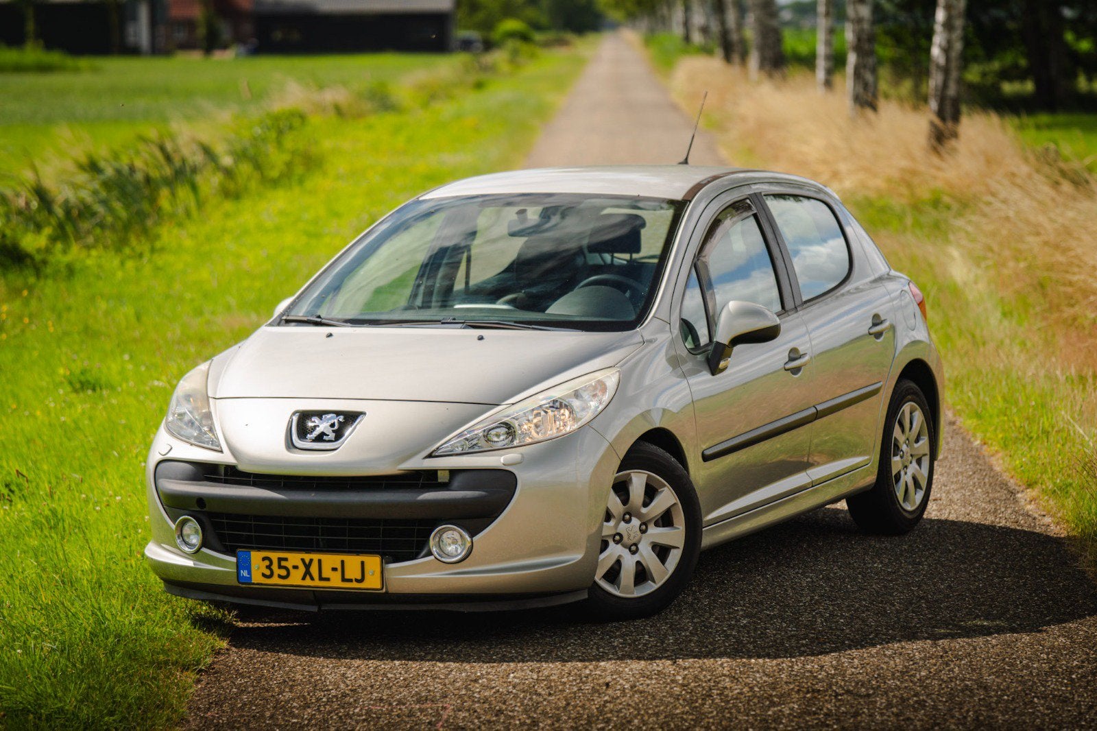 Peugeot 207 1.4 16V 5DRS 2007 Grijs, Auto's, Peugeot, Voorwielaandrijving, Stof, 1360 cc, 4 cilinders
