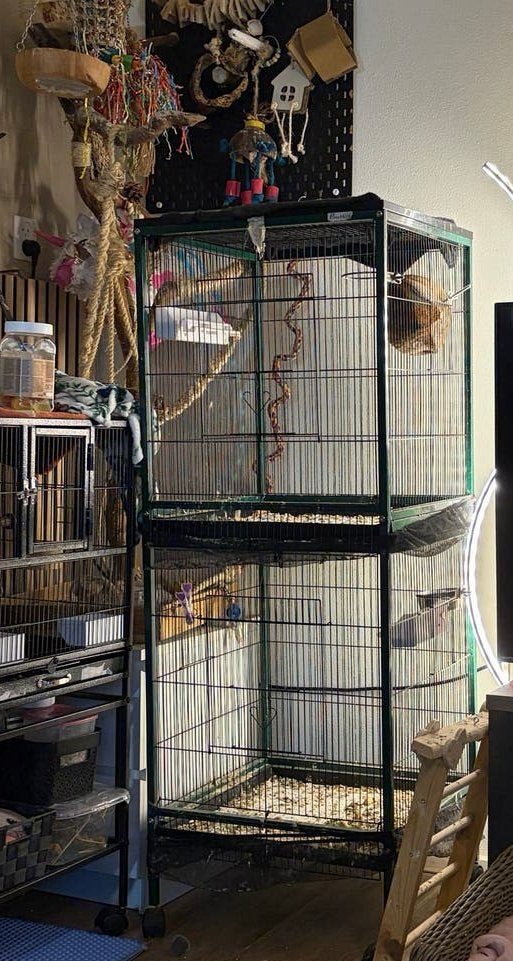 Dubbele vogelkooi, Dieren en Toebehoren, Ophalen, Gebruikt, Vogelkooi