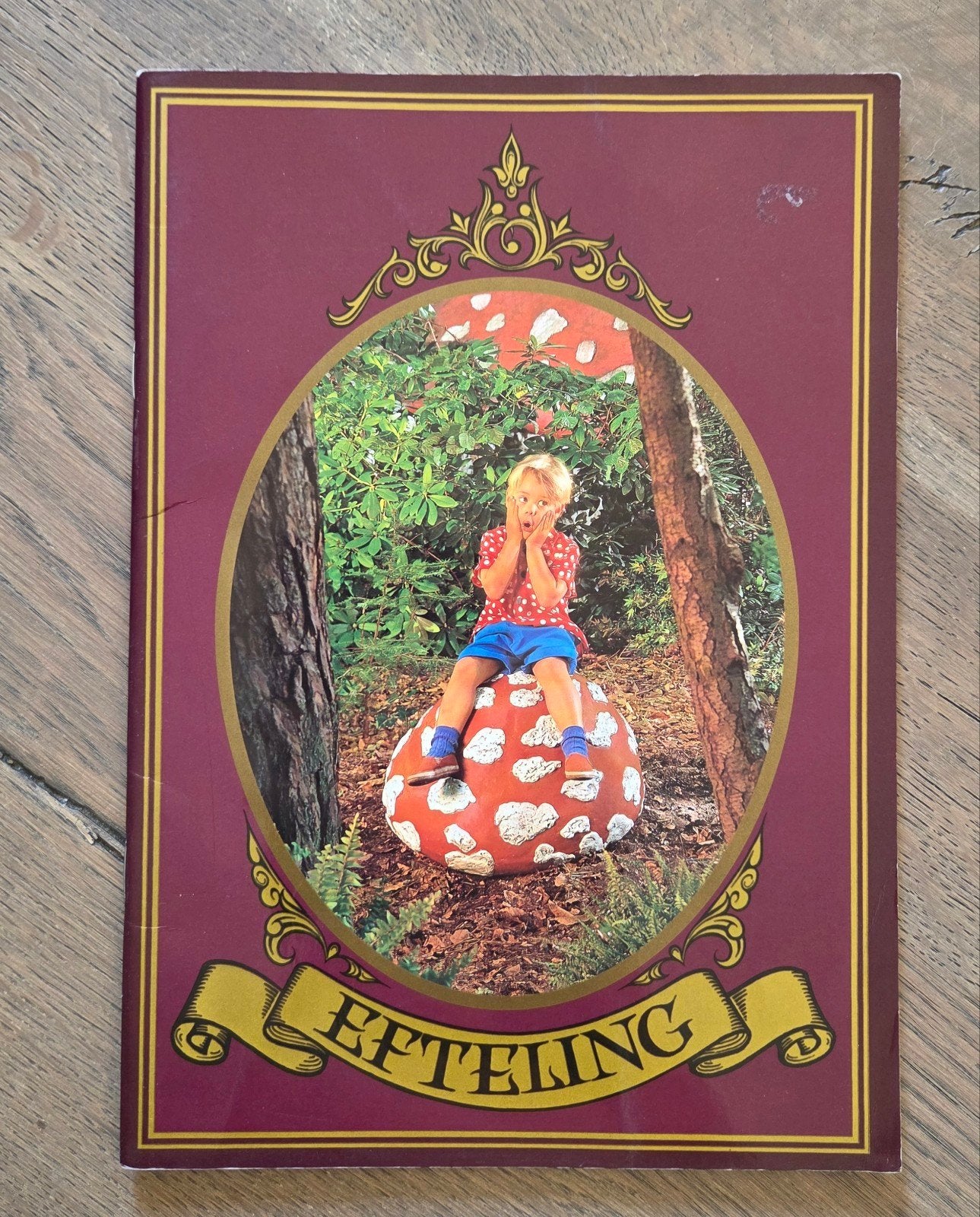 Efteling Foto Jaarboekje Jongetje op Paddenstoel 1997, Verzenden, Zo goed als nieuw, Overige typen