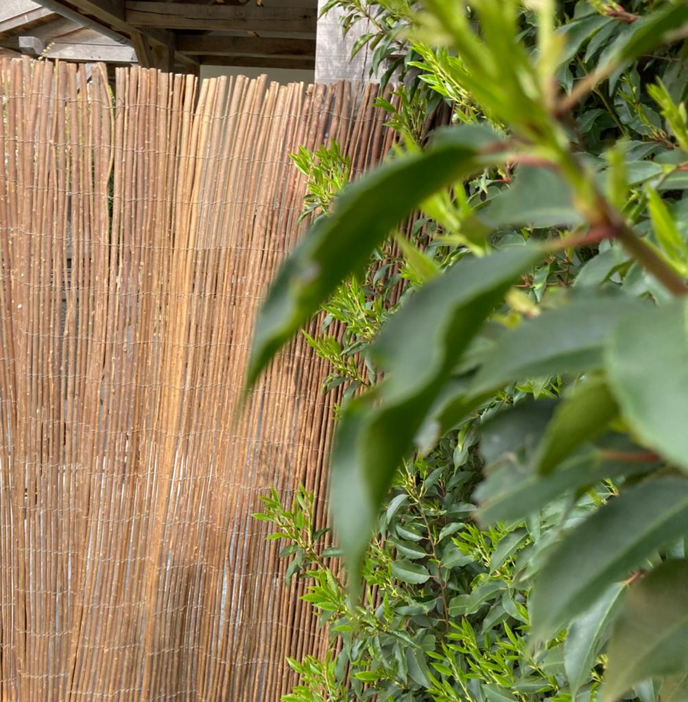 NIEUW Schutting wilgentakken hout hek wilgentenen schutting, Tuin en Terras, Ophalen