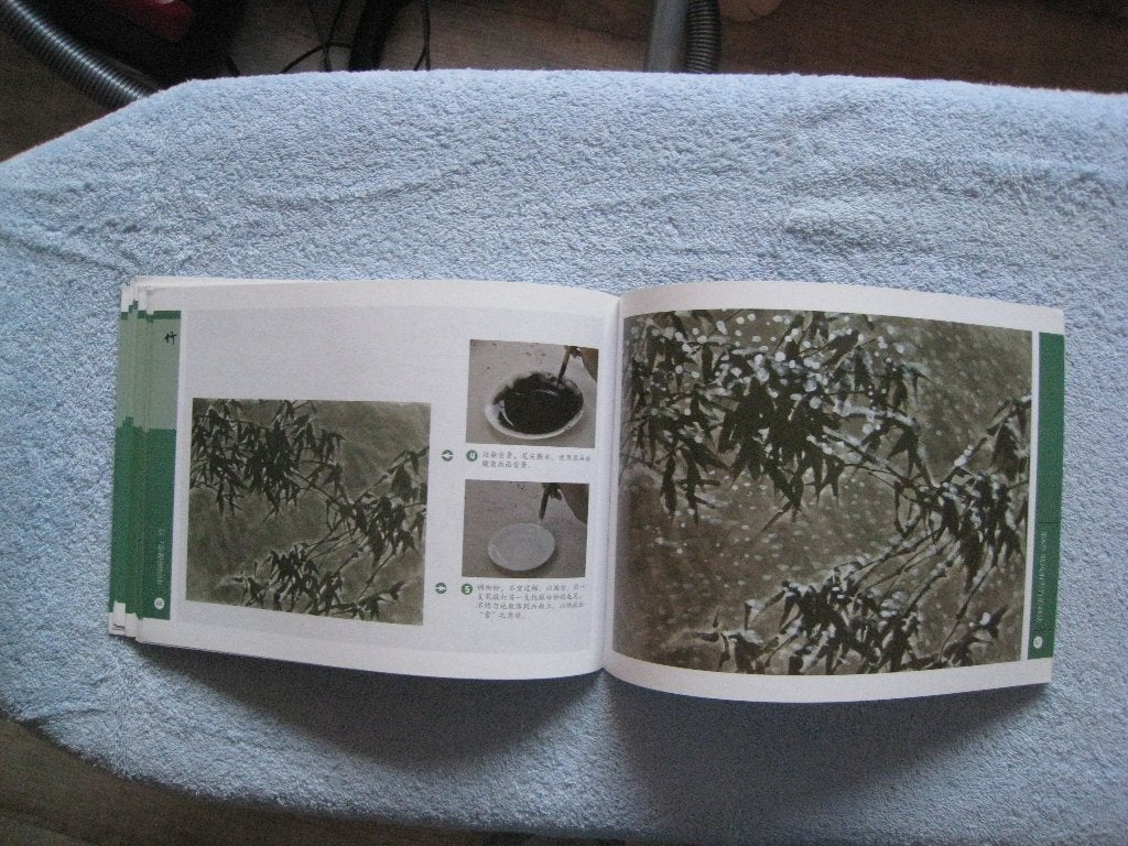Foto 6 van Chinees aquarelboek