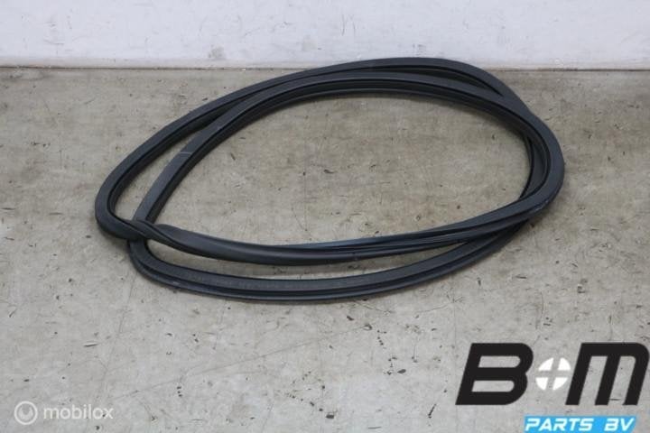 Portierrubber rechtsvoor VW Up! 5drs 1S4867912C, Gebruikt