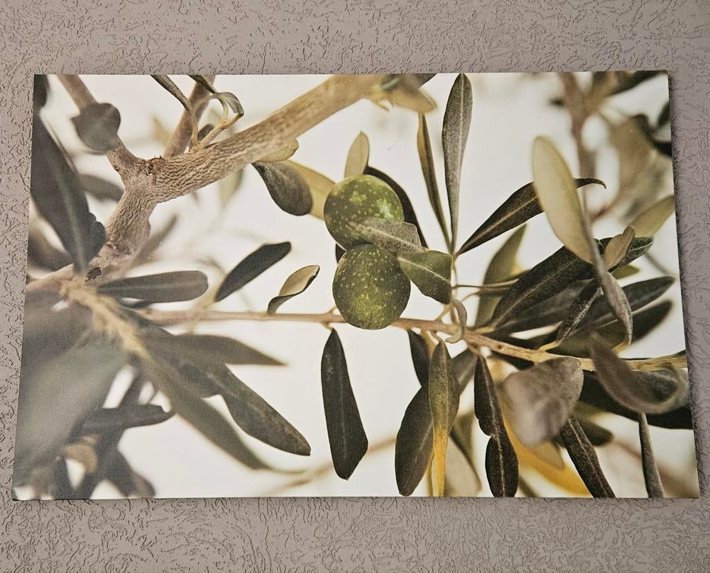 Canvas schilderij olijftak IKEA met olijven, Ophalen of Verzenden, Zo goed als nieuw, Schilderij, Minder dan 50 cm