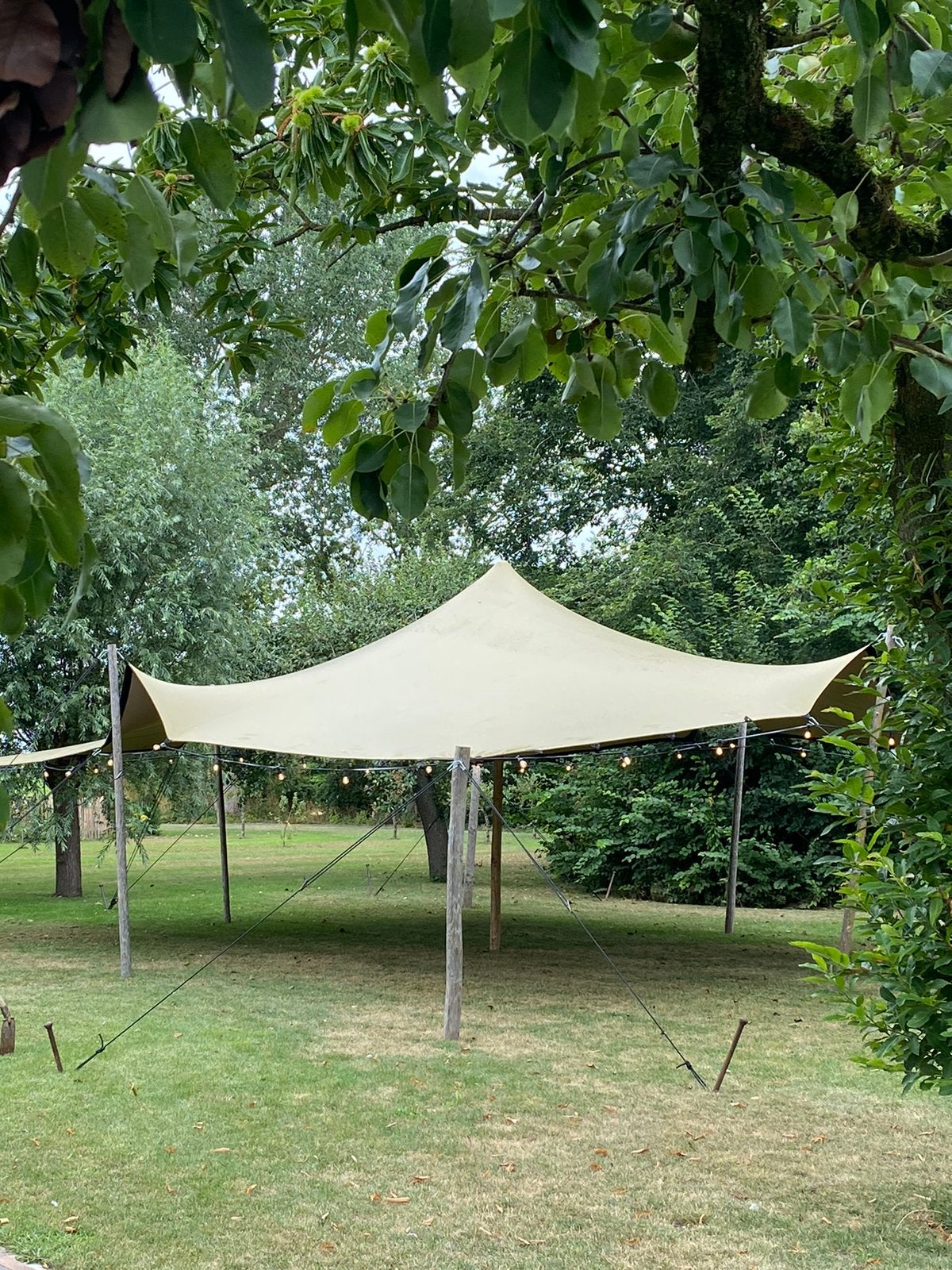 STRETCHTENT huren. Goedkoopste 8x10 partytent, Ophalen, Zo goed als nieuw, 8 meter of meer