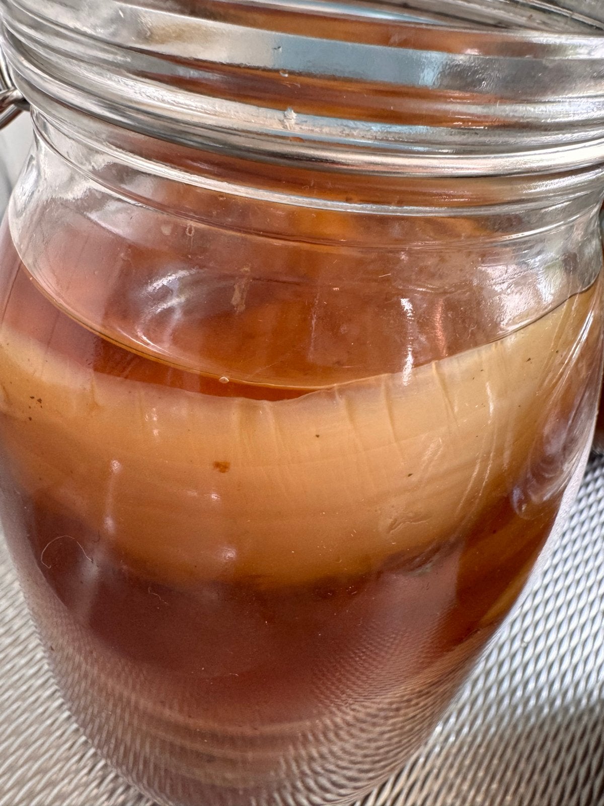 Gratis Kombucha, Ophalen of Verzenden