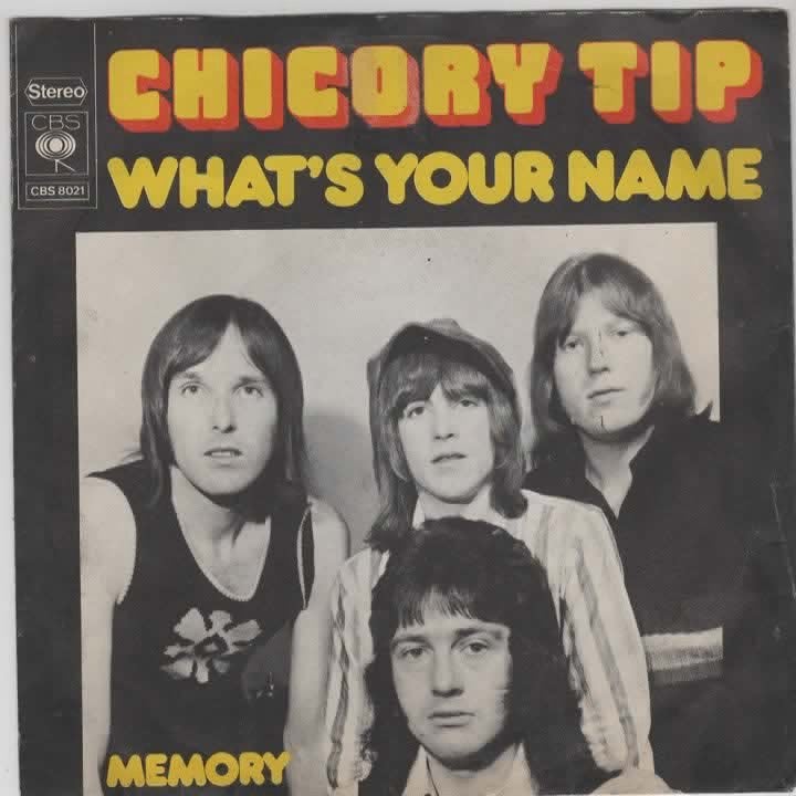 CHicory Tip- What's your Name, Cd's en Dvd's, Vinyl Singles, Zo goed als nieuw, Pop, Beschermende buitenhoes, Fotohoes, 7 inch