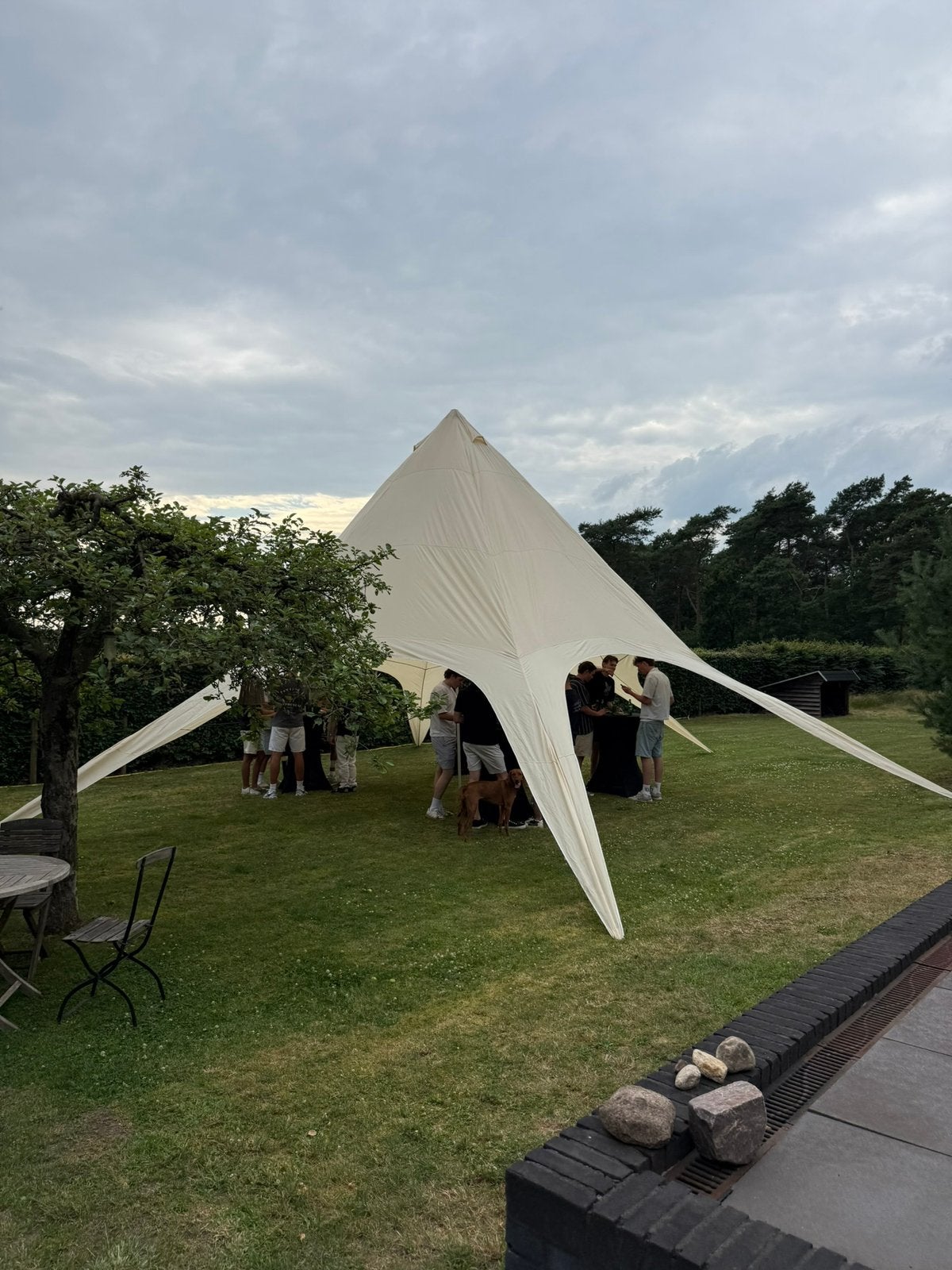 Stertent stretchtent te huur, Ophalen, Zo goed als nieuw, 8 meter of meer, 6 meter of meer