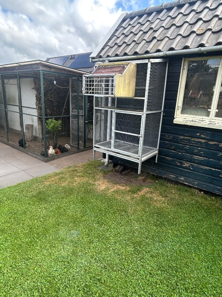 Duivenren, Dieren en Toebehoren, Ophalen, Hout, Vogelkooi